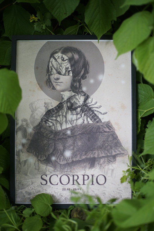 Scorpio zlepki sklejki