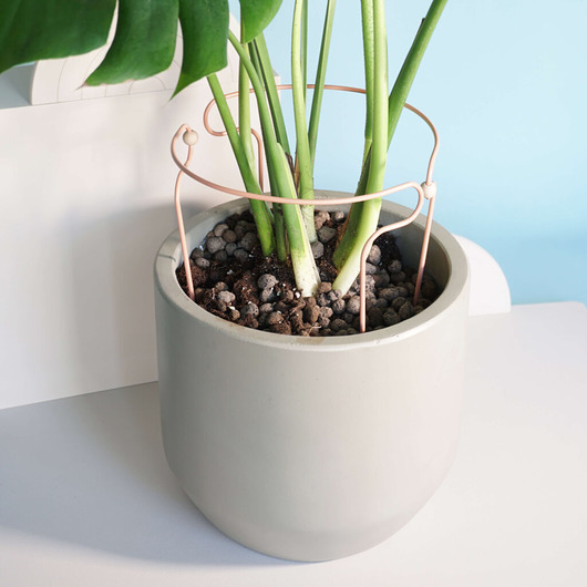 kwietniki Podpora busz.obręcz róż