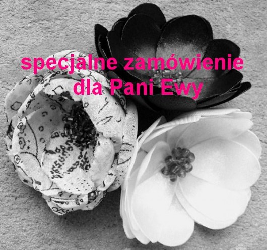 Zamówienie dla Pani Ewy agnieszka 17