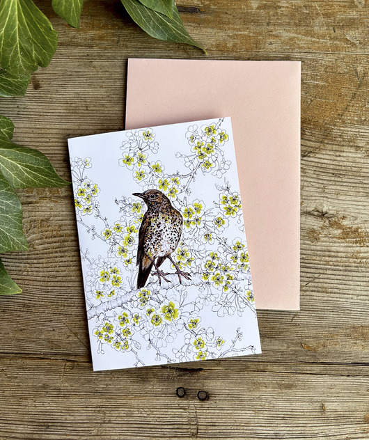 kartki okolicznościowe - wydruki Drozd Śpiewak - Kartka- Grafika- Ilustracja- Ptaki