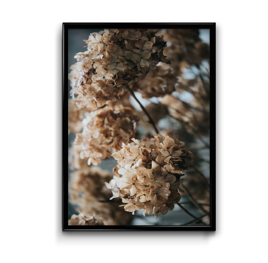 plakaty Plakat Jesienne Hortensje