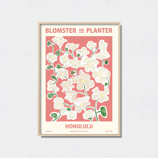 plakaty Plakat botaniczny "Honolulu"