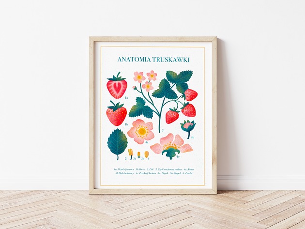 Plakat botaniczny "Anatomia truskawki" 40x50cm Studio Stonka