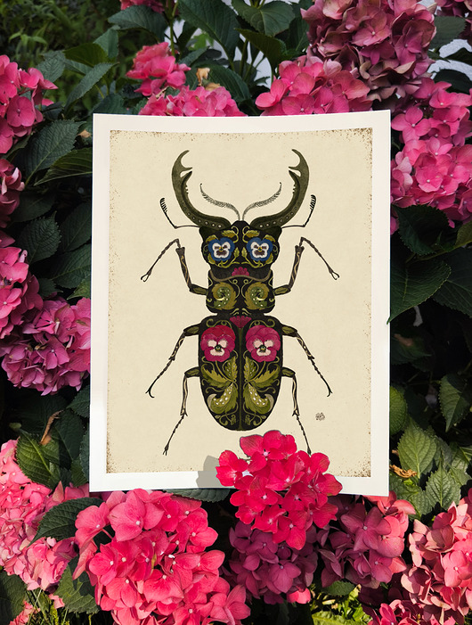 plakaty Żuk, plakat botaniczny, plakat boho, plakat żuk, plakat owady