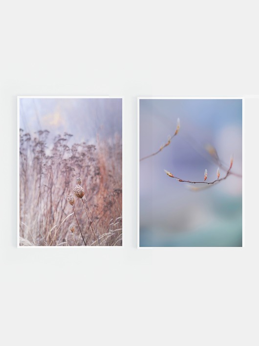 fotografia Zestaw fotografii delikatne pastele