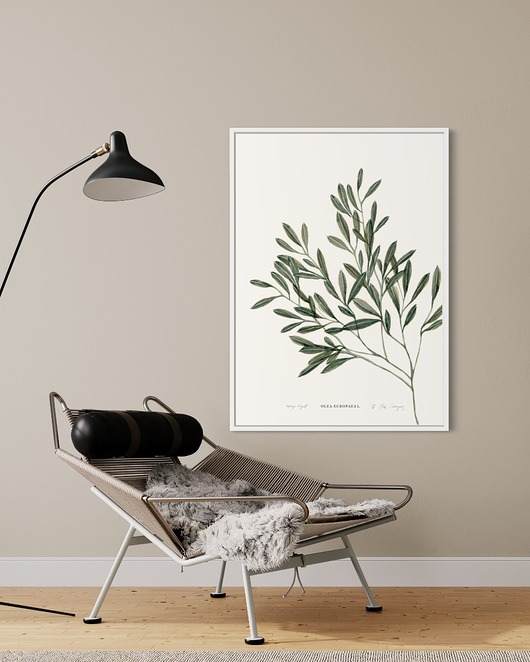 grafiki i ilustracje Oliwka / Fine Art Print