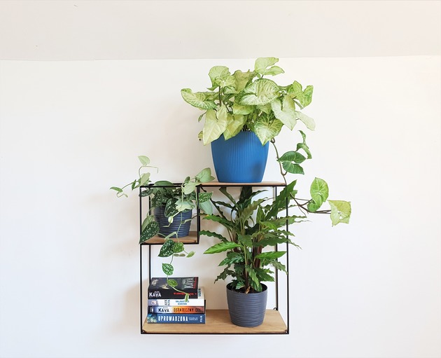 kwietniki Półka LOFT