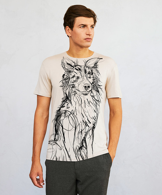 t-shirty męskie Border Collie Dog Men's T-shirt hummus