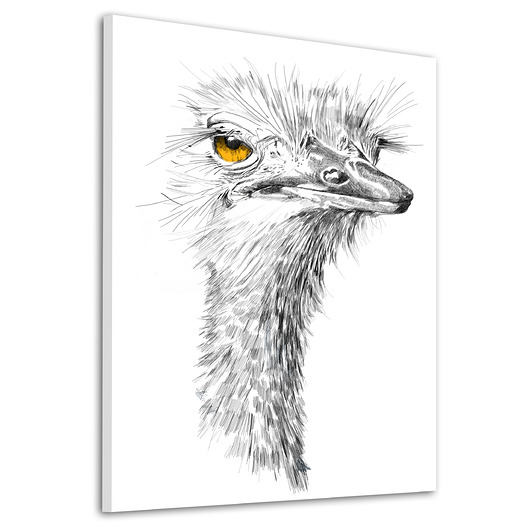 obrazy OBRAZ NA PŁÓTNIE -  60x80cm struś