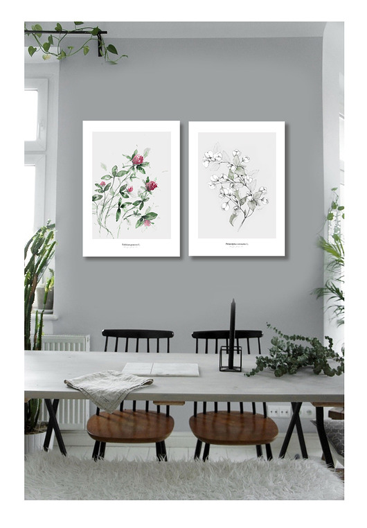 grafiki i ilustracje Koniczyna & Jaśminowiec / zestaw