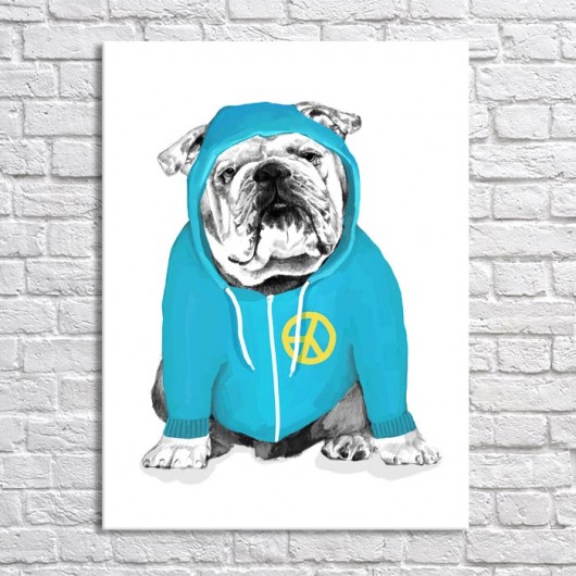 obrazy OBRAZ NA PŁÓTNIE -  60x80cm BULLDOG