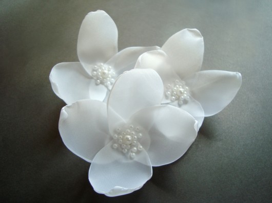 magia bieli  SundayRose