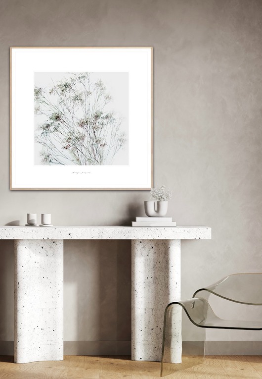 grafiki i ilustracje Gipsówka  kwiaty obraz do domu / Fine Art Pint