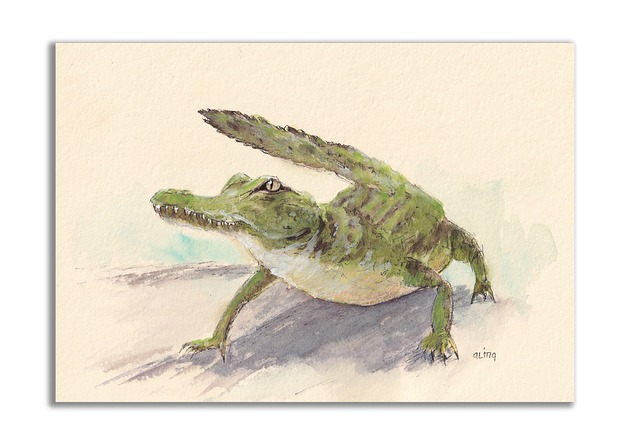 grafiki i ilustracje Krokodyl. Akwarela ręcznie malowana.