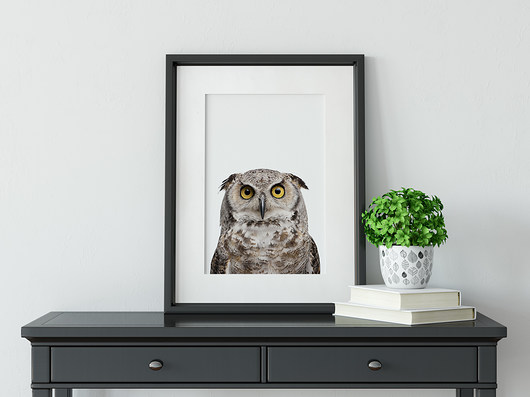 Plakat Sowa - 50x70cm ScandiMyLove