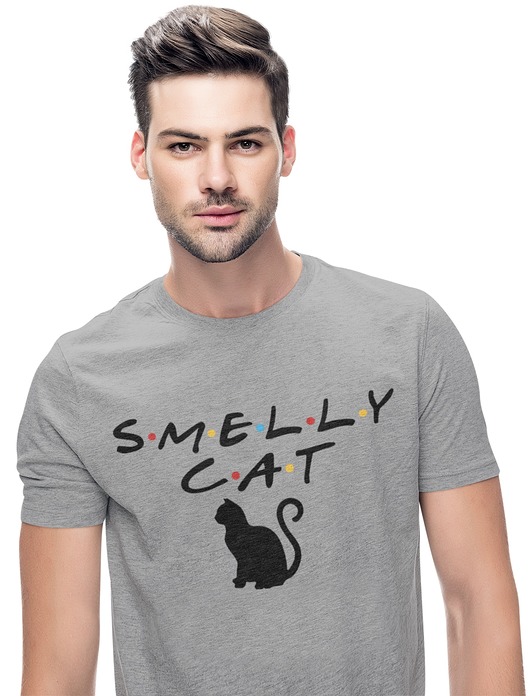 t-shirty męskie koszulka Friends Smelly Cat