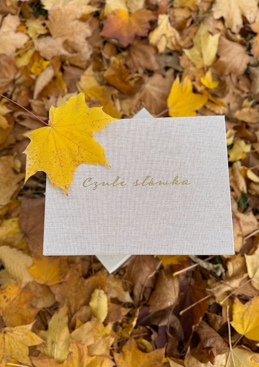 księgi gości i albumy ślubne SLOWsłowa! Czyli Alternatywna księga gości