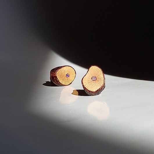 kolczyki drewniane Drewniane kolczyki z jaspisem