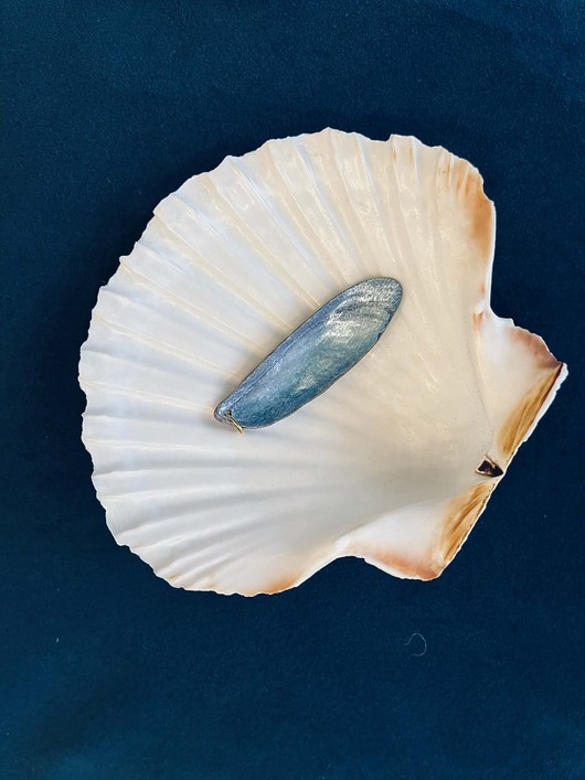 wisiory Wisior Long Island