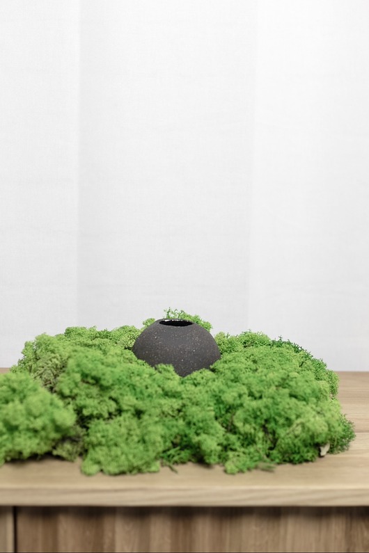 wazony Wazon - kuro koishi