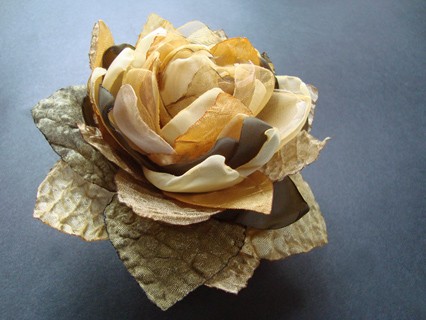 INGOGLIA IV SundayRose
