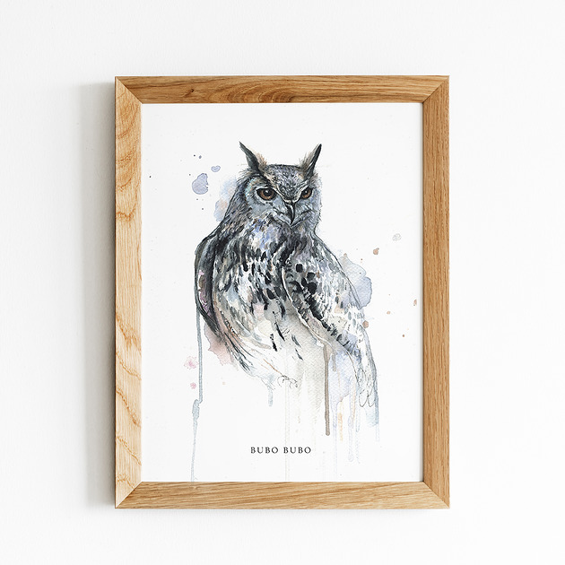 grafiki i ilustracje Puchacz, 30x40 cm