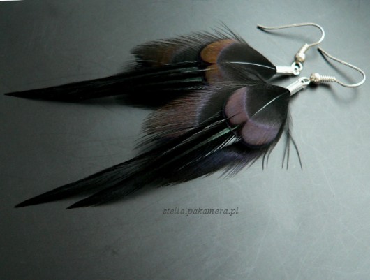 blackbird short Stella