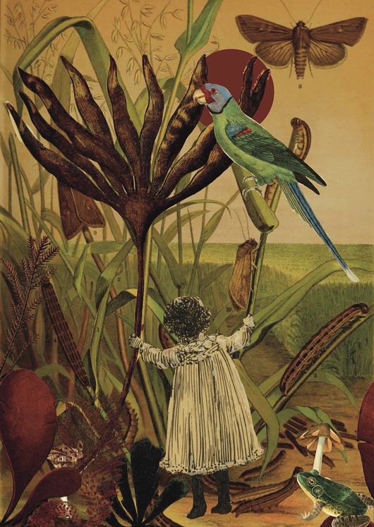 plakaty Alicja - Kolaż - plakat - wydruk