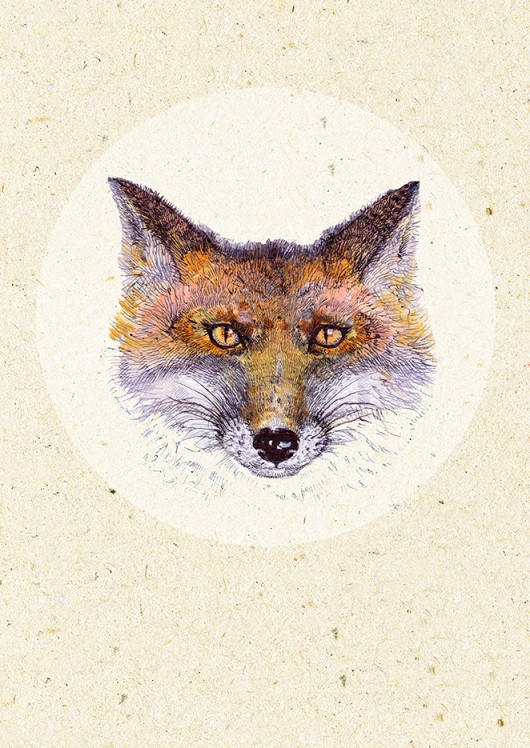 fox BOSKE