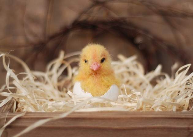 Wielkanoc - inne Kurczaczek Wielkanocny w skorupce