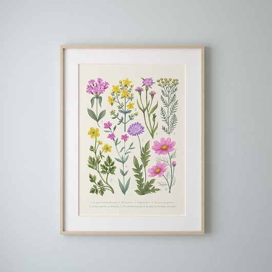 Plakat "Kwiaty polne" jasne tło 30x40cm Studio Stonka