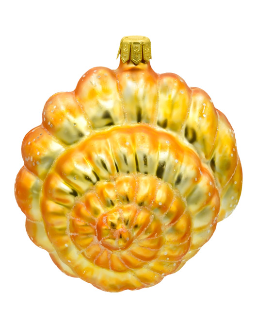 ozdoby choinkowe Bombka choinkowa: Muszla spiralna