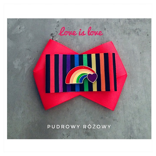 broszki Brosza z Kolekcji LOVE is LOVE  Pride