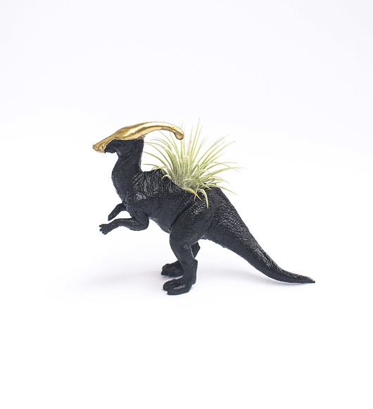 Black and Gold Plantosaur Plantarium