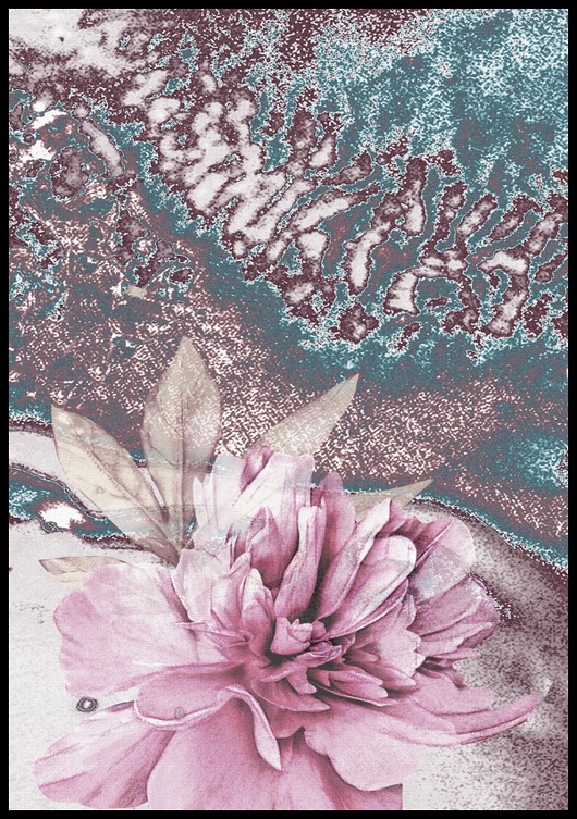 plakaty Plakat "Abstrakcyjna piwonia 02"
