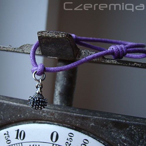 Jeżozwierz Czeremiqa