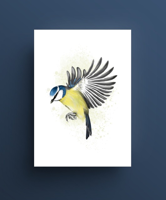 grafiki i ilustracje Sikorka modra