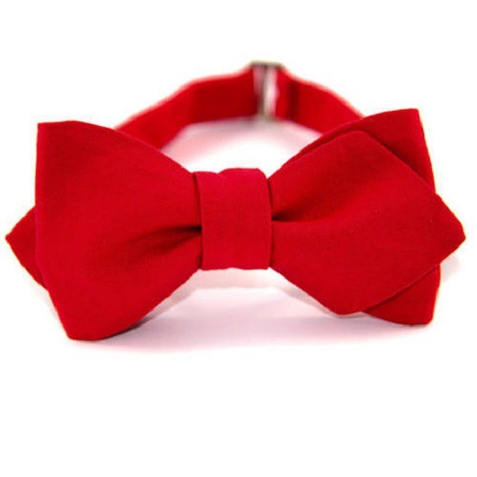 Muszka wiązana  The Bow Bow Ties