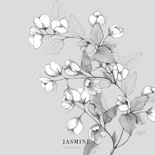 plakaty Jaśmin  print 50x50 cm