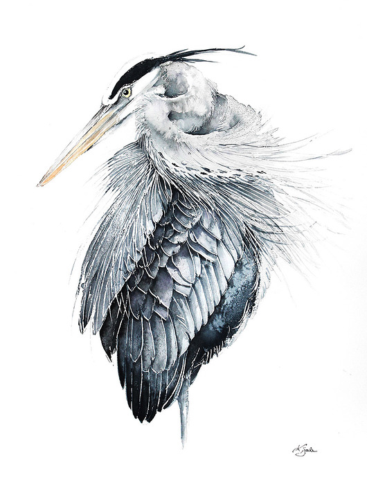 Czapla - plakat, reprodukcja 50x70cm Karolina Kijak