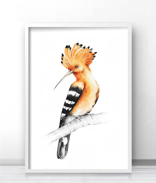 Dudek - Plakat Glicee Print Karolina Kijak