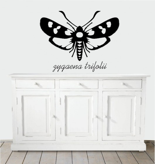 motyl 2 Project 8