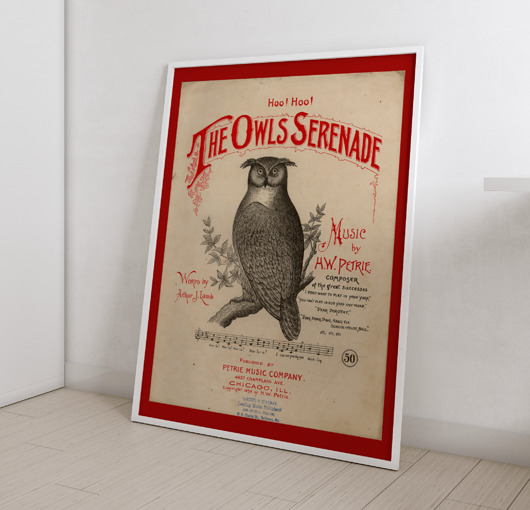 plakaty Plakat Vintage Retro Owl