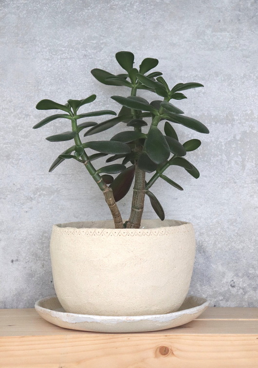doniczki Doniczka ceramiczna