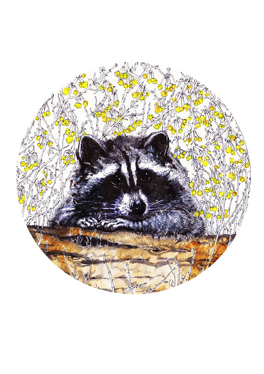 grafiki i ilustracje Zamyślony szop- Plakat- Grafika - Ilustracja na ścianę