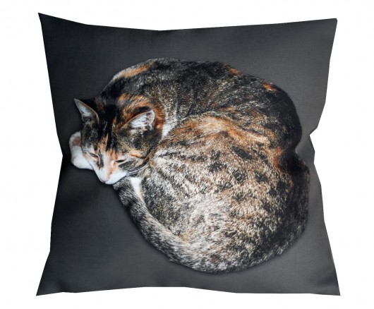 kot dla alergika 45cm :) poduszka AT design