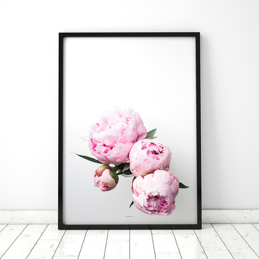 Plakat Piwonia 2 COLORMINT