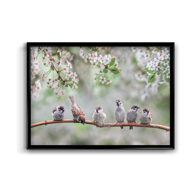 plakaty Plakat Blossom
