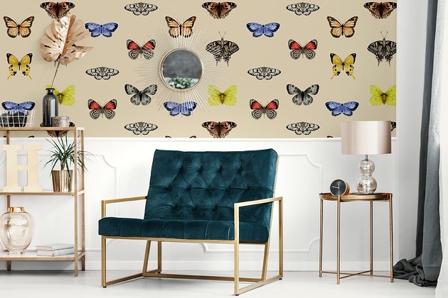 tapety i naklejki ścienne Butterfly