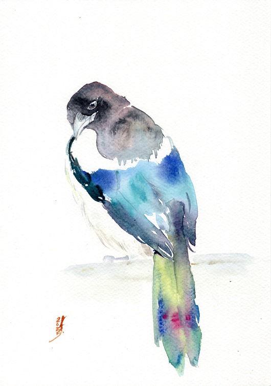 obrazy Oryginalna akwarela. Sroka